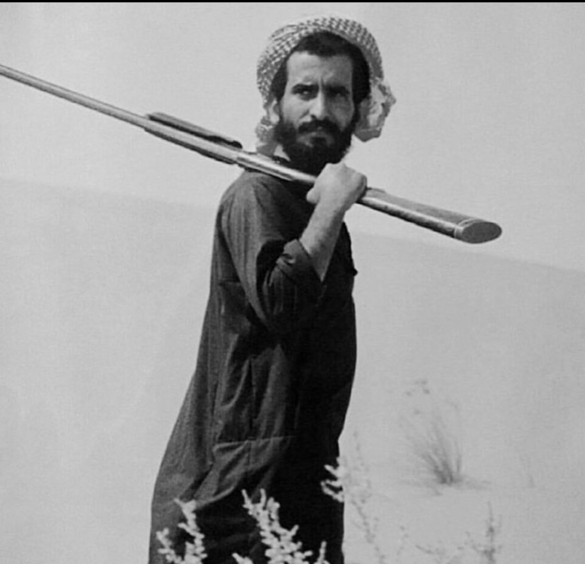 ليا شانت وجيه الليالي و قلّ الراي
وخلايا الدماغ من التفاكير مضطربه
ً
عط الراي عمرك لا تشاور به الحكاي
لو ان الطواري سربةٍ من بعد سربه
ً
فلا تزتمل وتقول ماجت على مشهاي
فرجها ليا ضاعت على فارج الكربه 
ً
ترى شرهة البندق على وقفة الرماي 
مثل شرهة الفارس على زرقة الحربه