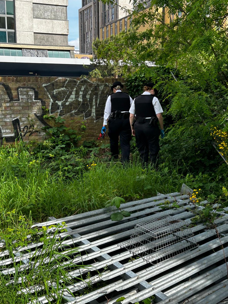 MPSWestCroydon's tweet photo. Officers out on patrol today carrying out weapons sweeps around Croydon College and surrounding areas
#opsceptre
#fairfieldsnt
##Broadgreensnt https://t.co/JwVhdqZj9l