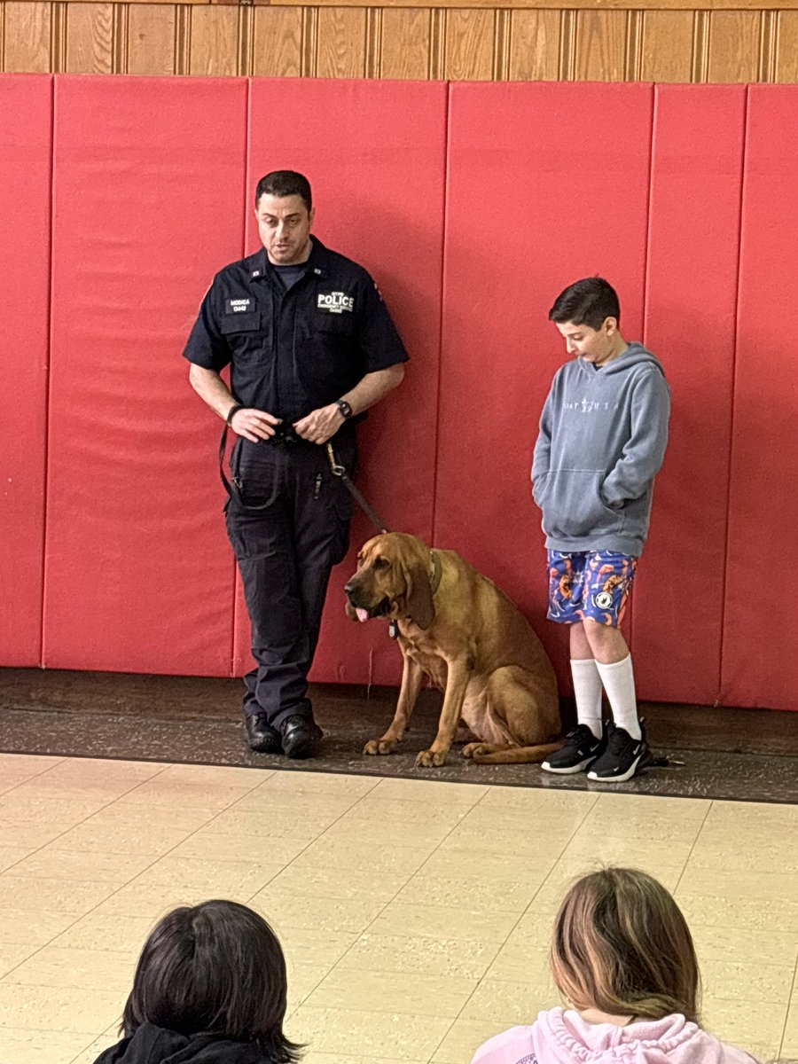 Mrs. Pickwick (@mrs_pickwick_) on Twitter photo 5th grade loved their visit with Jemma from the NYPD K-9 unit! <a href="/OSchoolsPR/">Oceanside School District #OSD_NY</a> <a href="/OsideSchool5/">OsideSchool5</a> #learningoutsidetheclassroom 5th grade loved their visit with Jemma from the NYPD K-9 unit! <a href="/OSchoolsPR/">Oceanside School District #OSD_NY</a> <a href="/OsideSchool5/">OsideSchool5</a> #learningoutsidetheclassroom