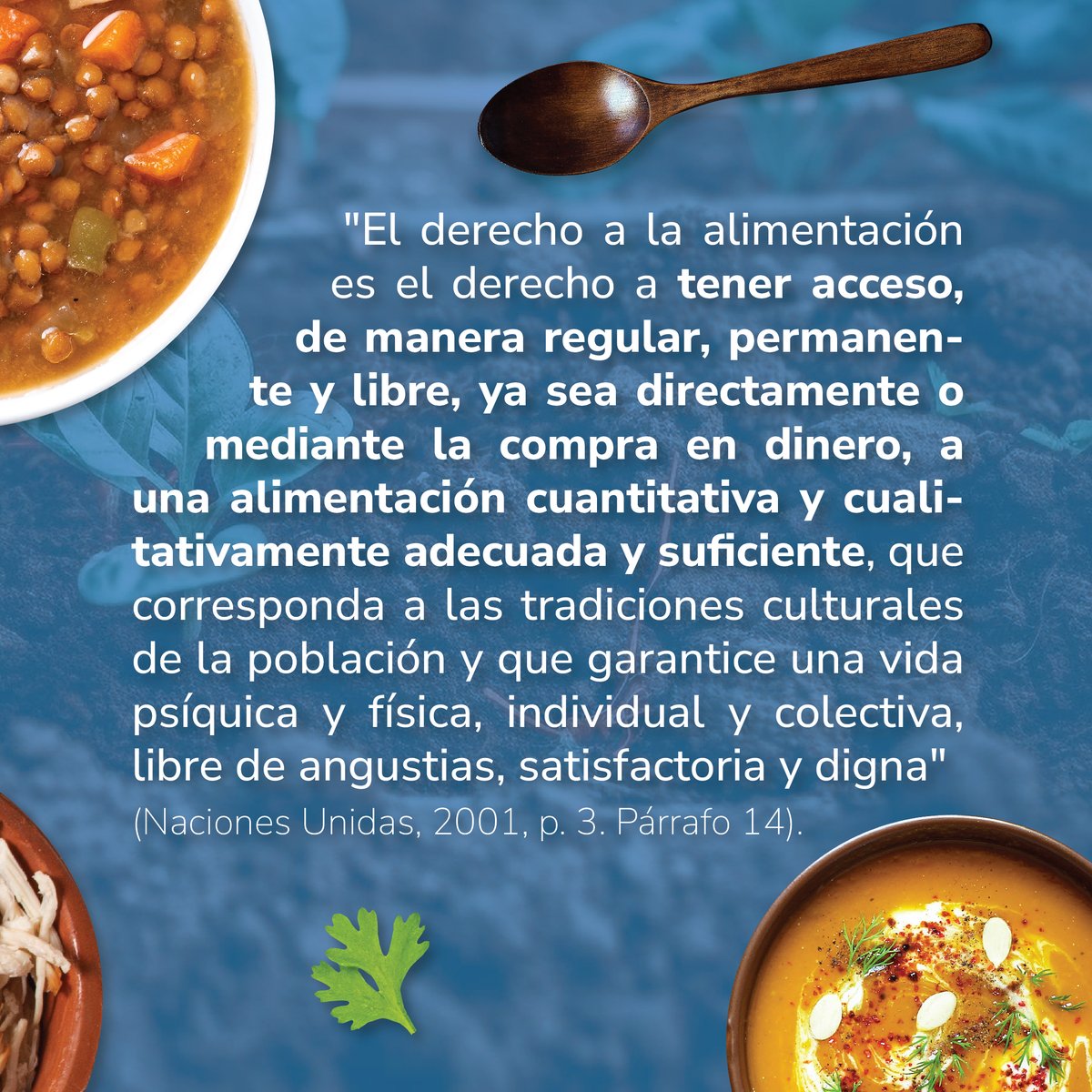 🍽️🍅🥬🫑 El Derecho Humano a la Alimentación Adecuada dignifica y es esencial para la salud y el desarrollo de las comunidades. Conoce más dando clic en bit.ly/Inf_PDET_PDT Proyecto #MiVidaEsElCampo de @RenovacionCo y @FAO 🇨🇴