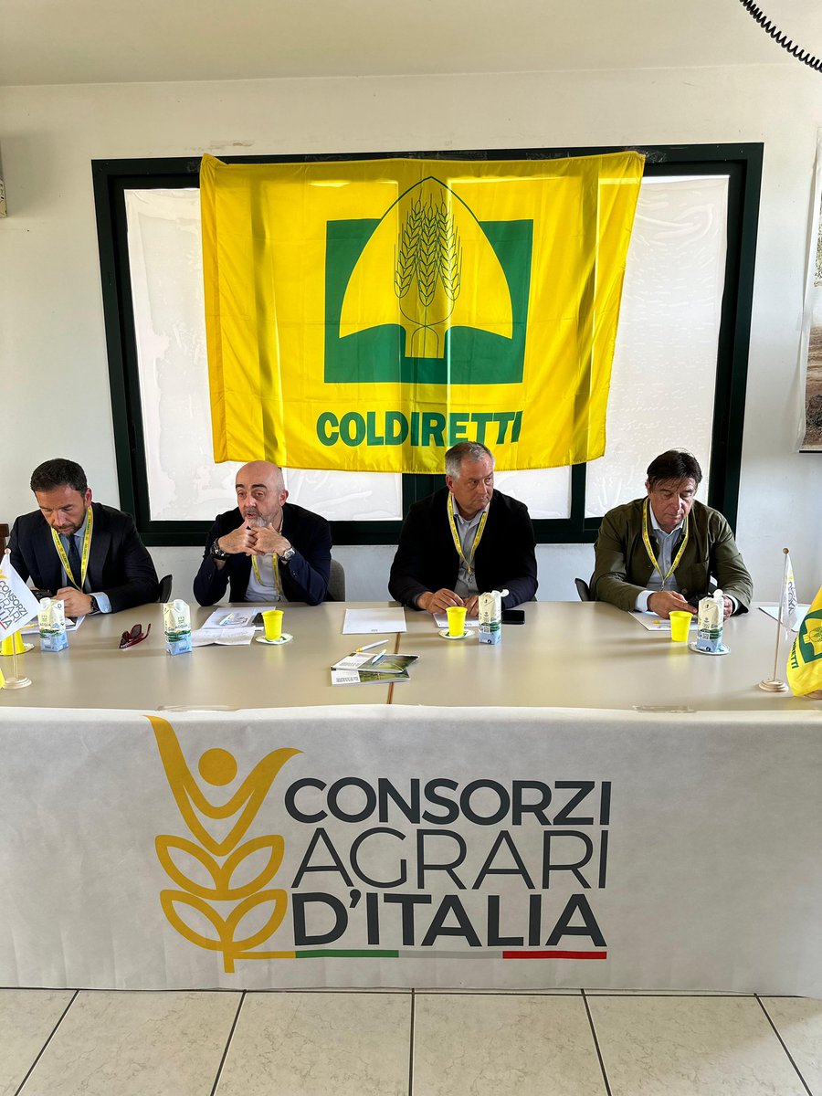 Lecciana, Leccio del Corno, Leccino, FS17 e le varietà che saranno autorizzate in futuro. 
Sono la speranza per la ricostruzione del patrimonio olivicolo del #Salento distrutto dalla #xylella. Di qui ripartiamo con il nuovo polo specialistico per la rinascita di questa terra