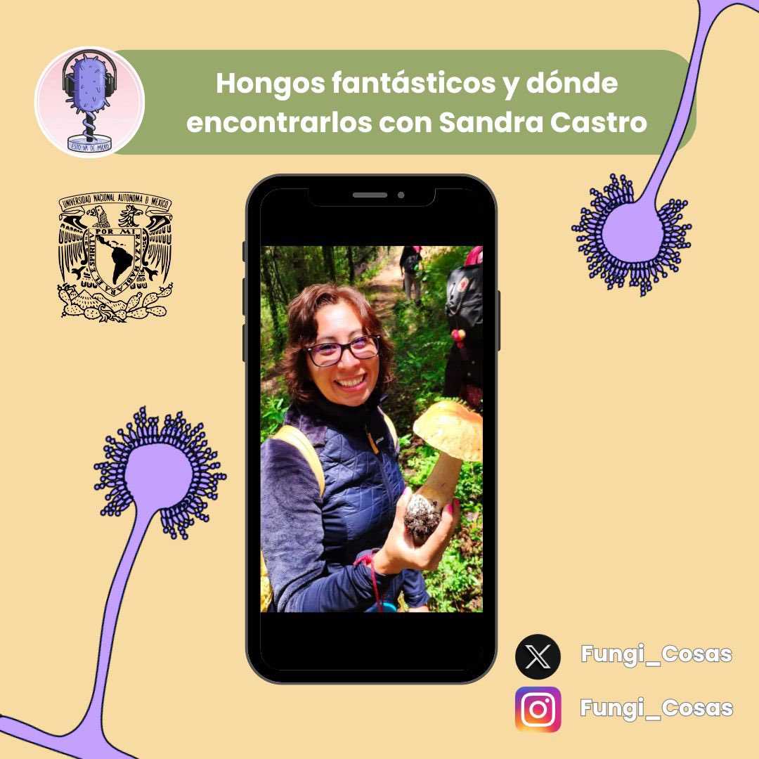¿Es un pájaro? 🦜 ¿Es un avión? ✈️ ¡NO! ¡Es el nuevo capítulo de EstoVaDeMicro! “Hongos fantásticos y dónde encontrarlos” con Sandra Castro <a href="/Fungi_Cosas/">Fungi_Cosas</a> 
Sé el primero en escucharlo 👇🏻
 
🥑 spotify.link/t8nbppKTFJb
🍊 go.ivoox.com/rf/129059065