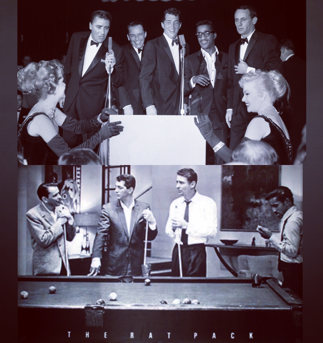 DeanaMartin_'s tweet photo. Today is Pack Rat Day!  ...For us is Rat Pack Day! 😎 https://t.co/XlsSSs84vF