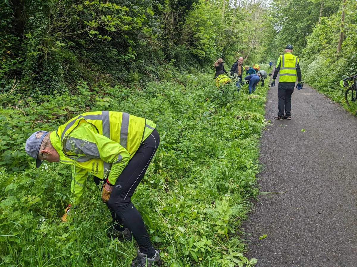 🌱 Yesterday was the first balsam bash of the season on Route 7, County Durham! A great team effort, with Sustrans volunteers, local geocachers + even @sagegroupplc employees who were taking their corporate volunteer day. Read about why we do this on FB.com/SustransNorth