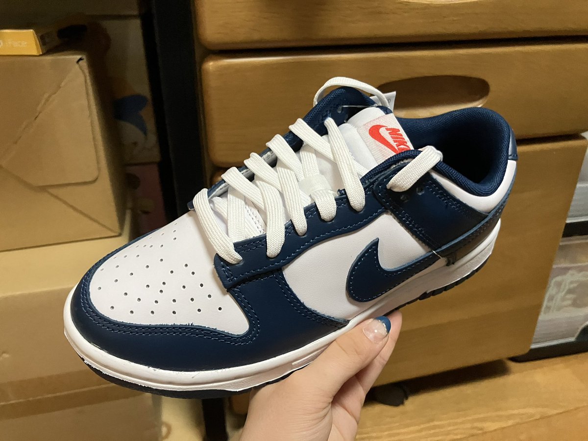 baseball3music's tweet photo. DUNK届いた👏
この色マジかっこいい😎
#NIKE #DUNK
#DUNKLOW #DUNKLOWRETRO
#DD1391400 https://t.co/iyNNQa4oDj