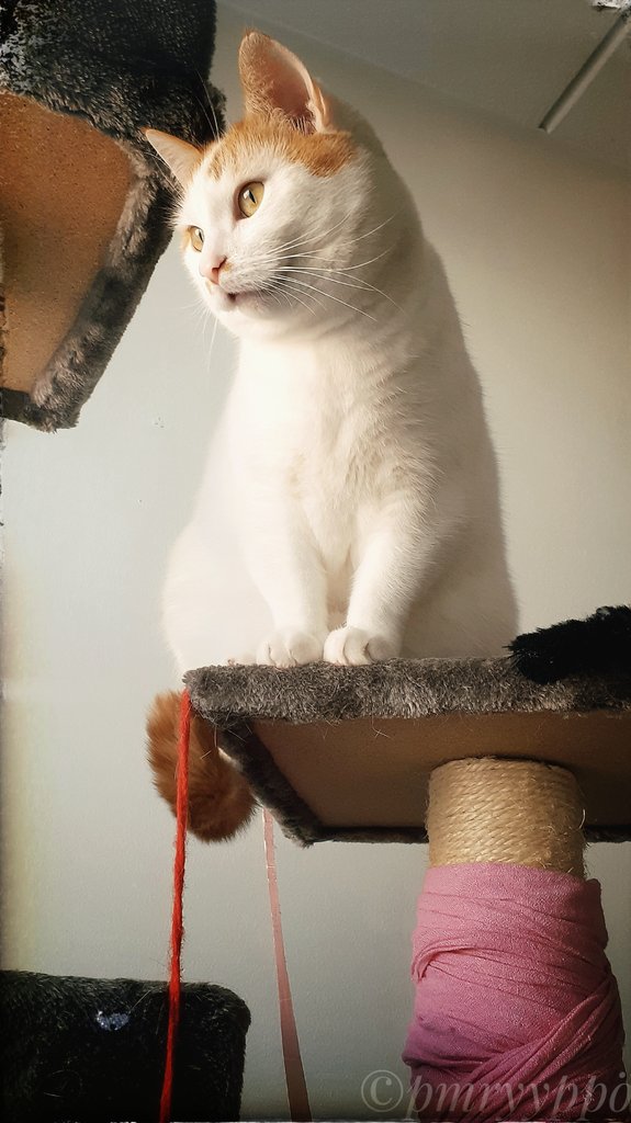 P&M² ♏🐱📸📚🎨🎶💃🍷🏳️‍🌈🏳️‍⚧️❤ tweet media
