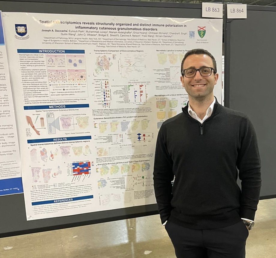 Joe Daccache tweet media