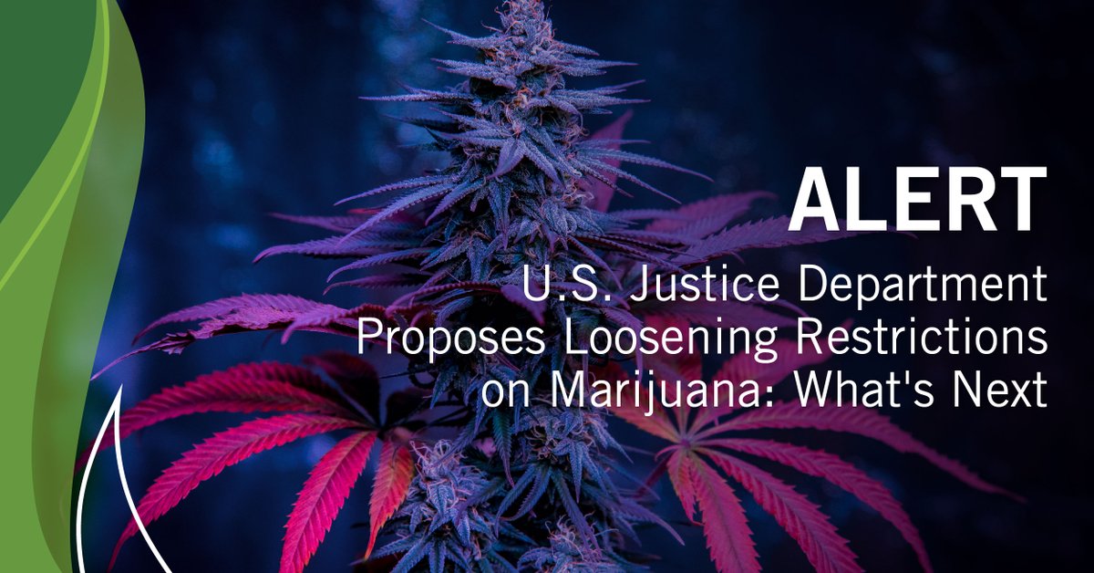 U.S. Attorney General Merrick Garland has submitted to the Federal Register a notice of proposed rulemaking to consider moving marijuana from a Schedule I to a Schedule III drug under the Controlled Substances Act. We detail what's next. tinyurl.com/ud79bcaa #Cannabis