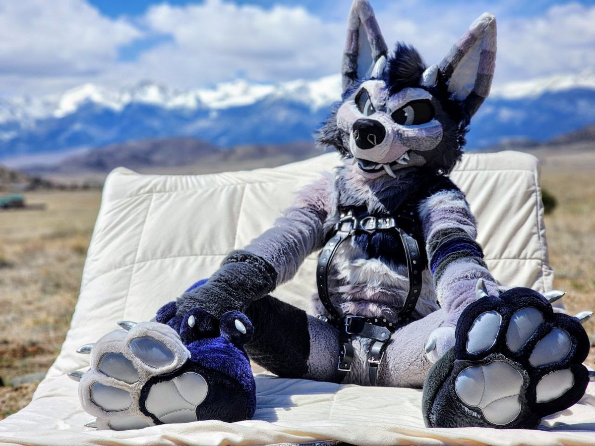 Woof... 😏🐾
#FursuitFriday
📸 <a href="/Kosasky/">Kosa</a>