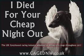 You promised love
You promised a beautiful life for me
Living as a real #pet 
I didn't ask much
I just wanted a cozy seat & good food
I found out you were cheating, nothing but lies
I was only your #entertainment 
Your drive for prestige has a name
#PetAbuse
#BanGreyhoundRacing