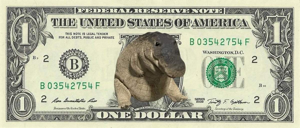 MoneyHustle tweet media