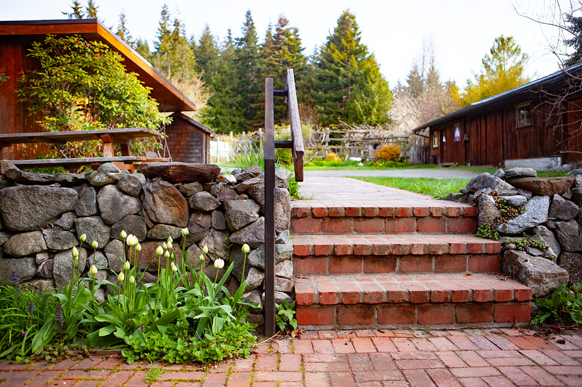 You know that spring is in full swing when the tulips arrive. 🌷

📸: Nia Martin

#Hedgebrook #springtime #tulipseason #flowersinbloom #islandretreat