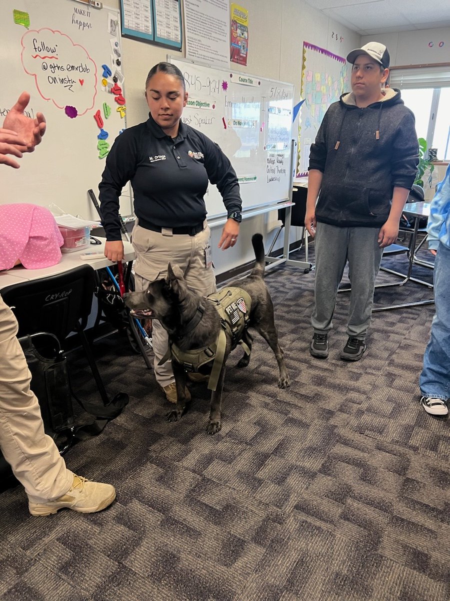 EMR students at @GTHSTitansl had a great session with guest speakers from the San Manuel Animal Resource Specialists, learning about Pet First Aid & CPR certification opportunities! 🐾 #CRYROP #Proud2bROP @CJUSDCTE @ColtonJUSD