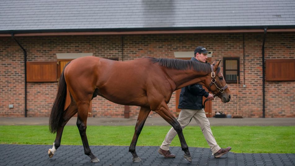 Newsells Park Stud sire Without Parole off the mark as son Mr Chaplin storms to an impressive three-length success at Newbury 👉 bit.ly/3wD5uKw