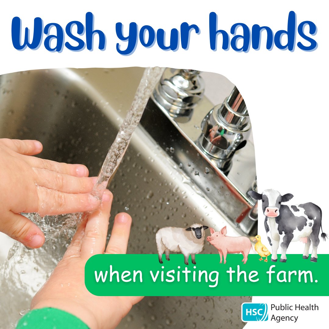 They're cute. They're cuddly. And they can carry infections that cause unpleasant stomach bugs 🐑 🐐 🐔 🧼 Wash your hands thoroughly with soap & hot water 😘 Don't allow children to kiss or cuddle farm animals 👟 Clean shoes and buggy wheels #washyourhands