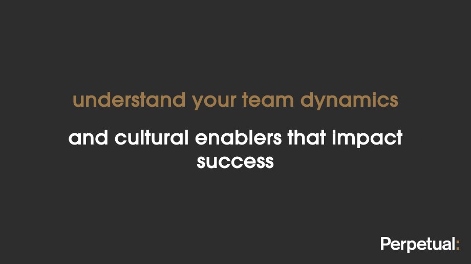 Grasping team dynamics is crucial for effective teamwork. By observing interactions, communication, decision-making, and conflict resolution, we can enhance productivity and foster a positive work environment. Let us help.

Learn more here: hubs.li/Q02xxMs70

#BePerpetual