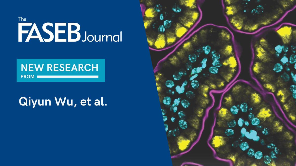 A new study in #TheFASEBJournal found that exposure to ultraviolet B rays may contribute to a skin condition called cholinergic urticaria. Read the findings: hubs.ly/Q02wL6T80 #ReadTheFASEBJournal