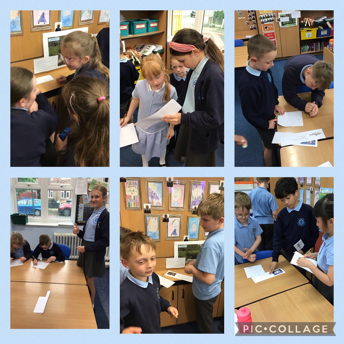 StAugustinesCPS's tweet photo. Year 2 loved having some of our Year 6 children supporting them in their Science lesson this week! They helped us find the most suitable habitat for different animals. #staugustinesscience #collaboratingconnie https://t.co/Xll0FyJzYL