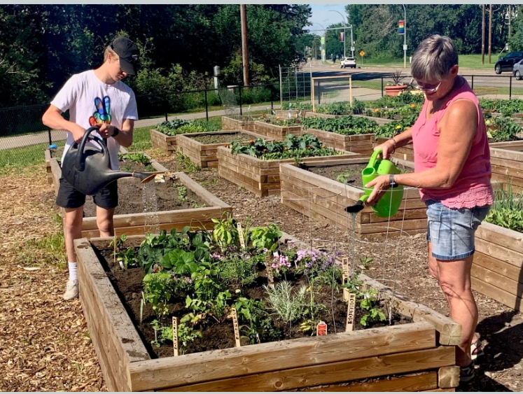 This May long weekend, join the movement to cultivate fresh produce right in your own neighbourhood by starting your own urban garden adventure! Let's sow the seeds for a greener, healthier future together. #SustainableLiving