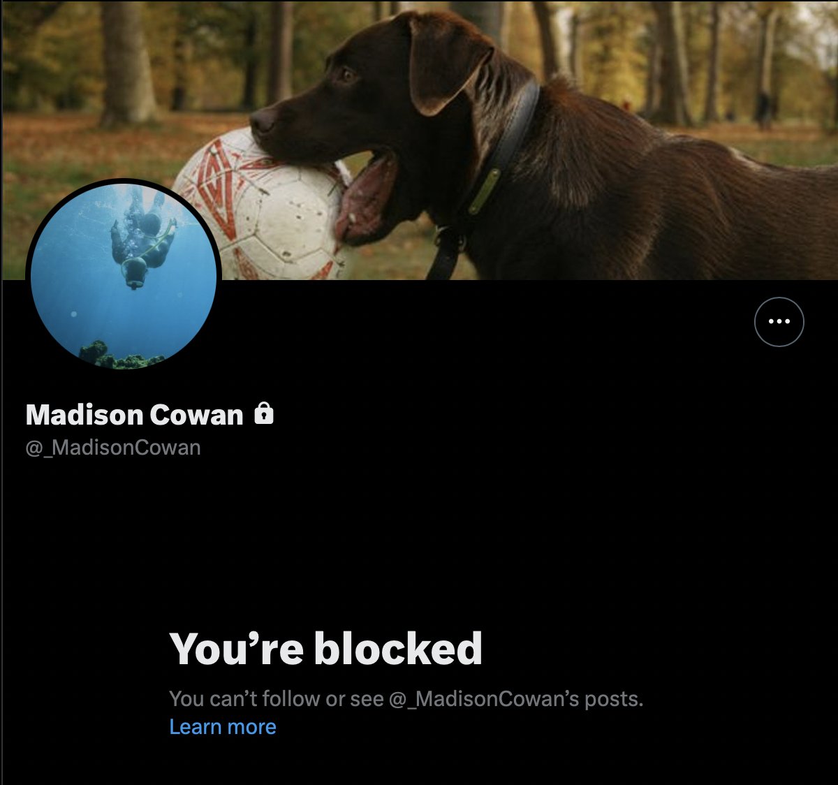 Surprise, surprise: @_MadisonCowan, who likes to pose as a selfless philanthropist on social media, blocks those who point out the hypocrisy of him living the privileged life of a celebrity chef while gaming the #housing court system and not paying #rent for four years.