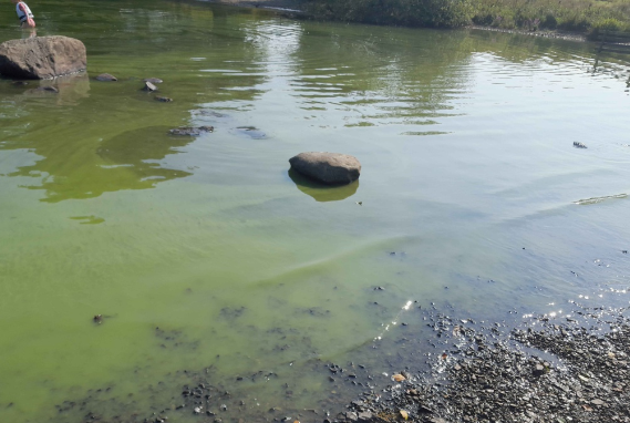 UK_CEH's tweet photo. The Lakes Tour is a 5-yearly seasonal snapshot of 20 Cumbrian Lakes. Ongoing UKCEH monitoring has found that surface water temperatures in some of the lakes including #Windermere have increased by 1°C in 40 years, worsening threats such as algal blooms

 #Lakes #ClimateChange https://t.co/cKA5sWAPzG