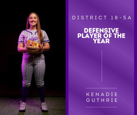 Ladycat Softball tweet media