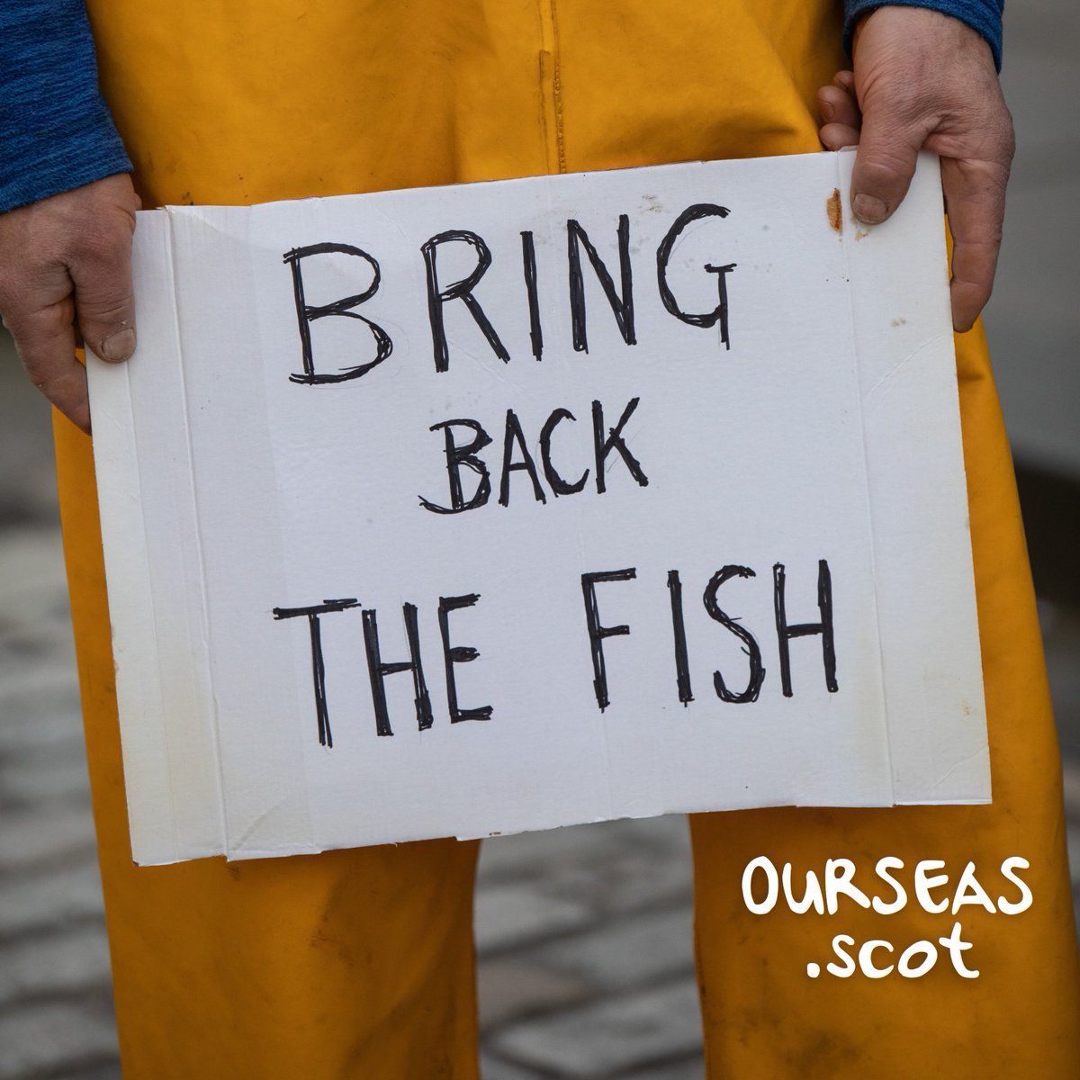 Scotland used to have a limit on destructive bottom-trawling which safeguarded vital habitats & low-impact fishing within three miles of the shore. It's time to #BringBacktheFish. Sign the @ourseas_scot petition: bit.ly/inshorelimit