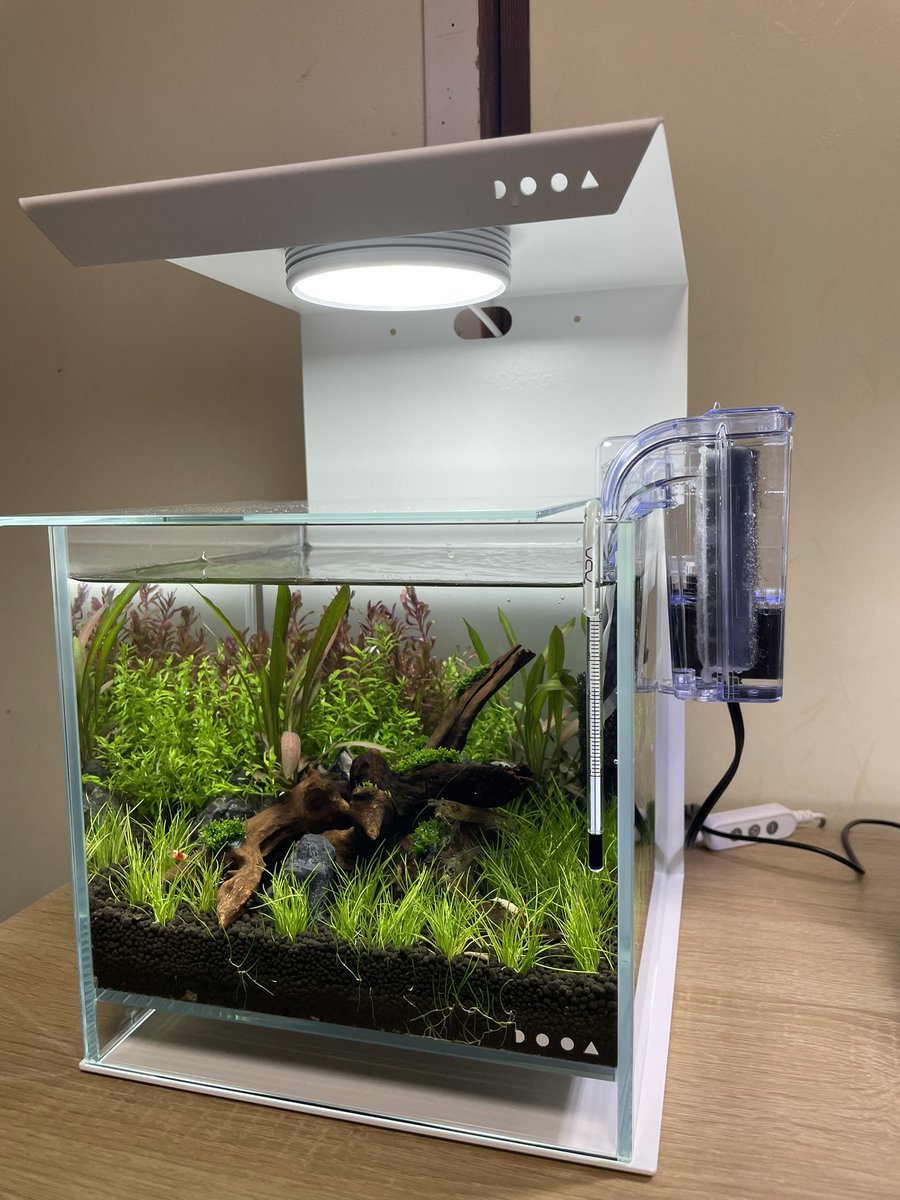 水槽 My Style 71HZVyhIYmL._UF350,350_QL50_.jpg