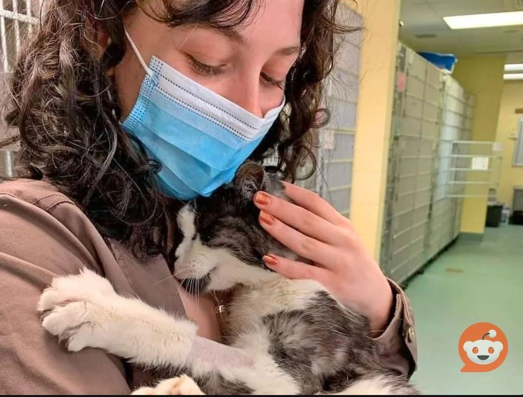 This woman adopted this 20-year-old cat from a shelter because she didn't want him to spend the end of his life alone in a cage.