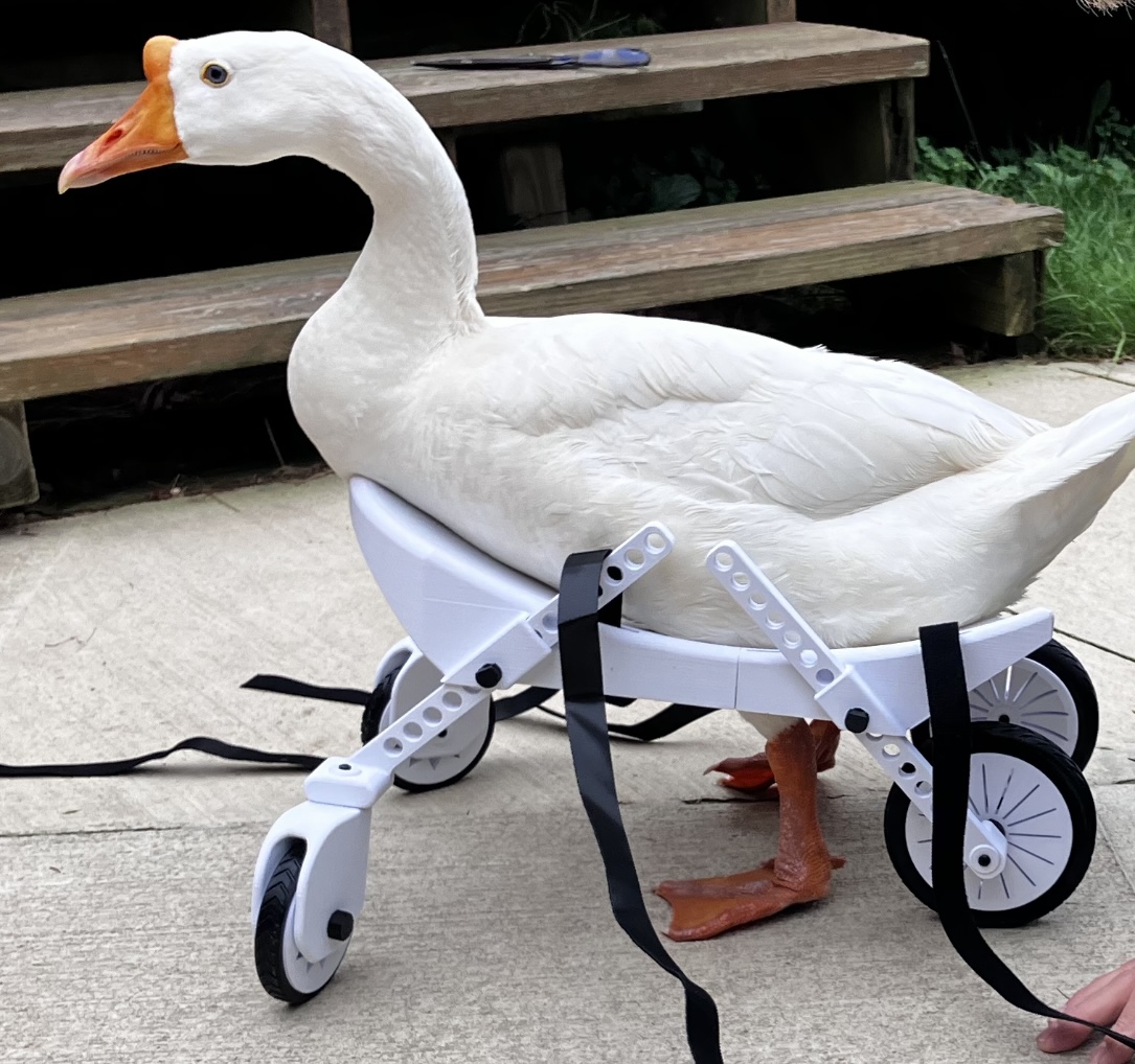🦆 Duck Wheelchair ➡️ 3D model: cults3d.com/:1998767 💡 Designed by Crispys3dprinting
