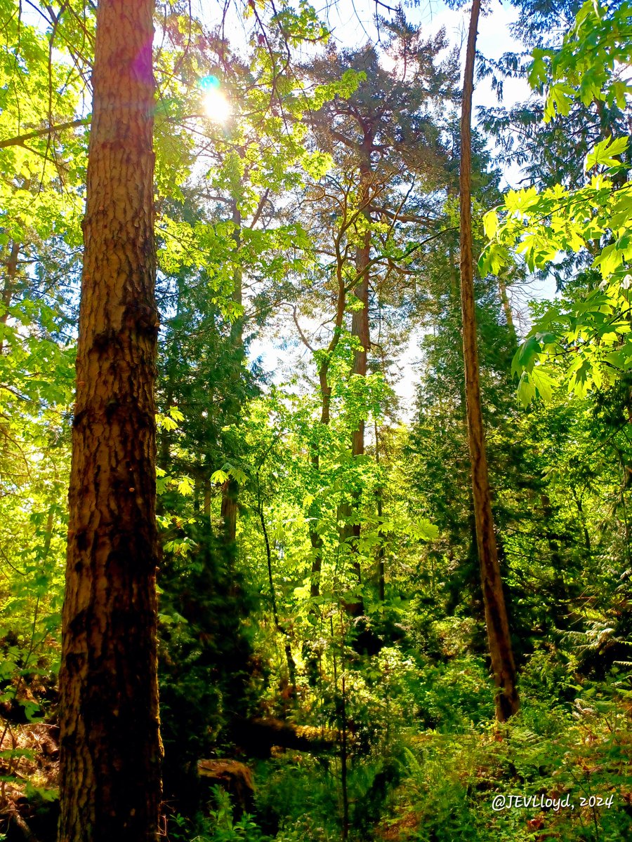 'I don't ever wanna feel
Like I did that day
Take me to the place I love
Take me all the way.'

#BeautifulBC 🌿