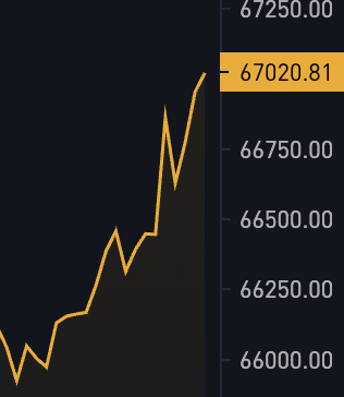 BitcoinMagazine's tweet image. JUST IN: $67,000 🚀