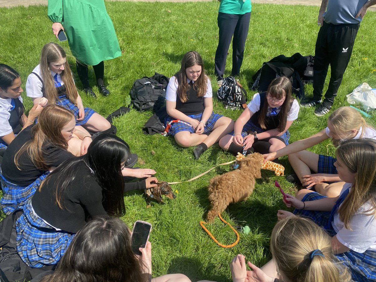 EHS Pupil Support Department tweet media