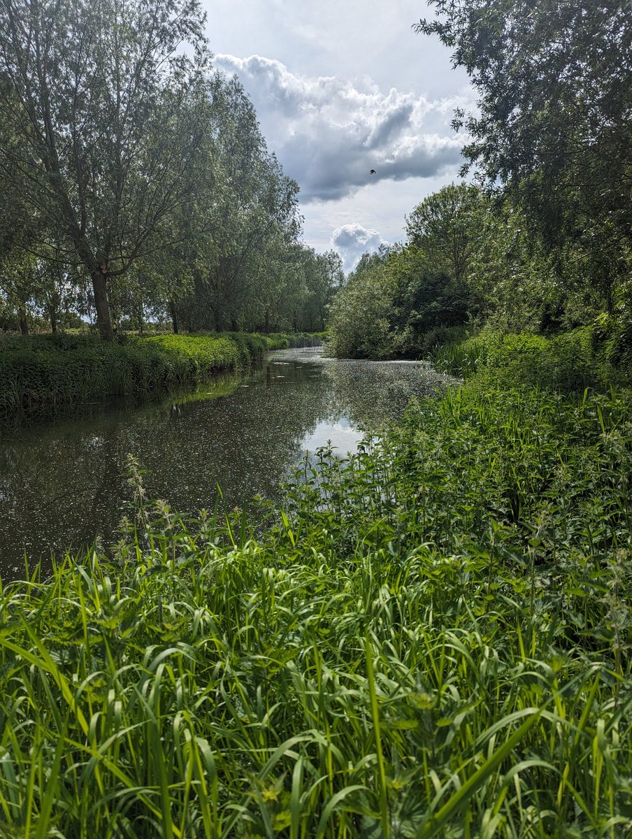 A beautiful walk in our village this afternoon. So appreciative of what's on our doorstep. Sun out, nature at its best. Wonderful reflection time. #FridayFeelings #FridayBonus #HappinessUnlocked #HealthyMindBody