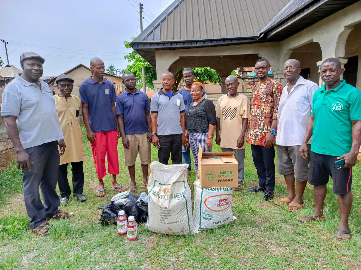 Solidaridad_wa's tweet image. With the aim of restoring degraded lands through oil palm cultivation, @Solidaridad_wa has distributed 120,000 #oilpalm seeds, 6,000 kgs of fertilizer and other inputs to smallholder farmers across 4 states in Nigeria under #NISCOPS 2 funded by @NLNetherlands and @FCDOGovUK.