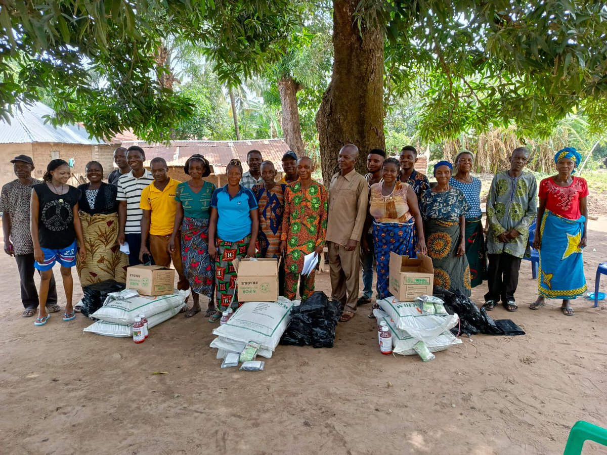 Solidaridad_wa's tweet image. With the aim of restoring degraded lands through oil palm cultivation, @Solidaridad_wa has distributed 120,000 #oilpalm seeds, 6,000 kgs of fertilizer and other inputs to smallholder farmers across 4 states in Nigeria under #NISCOPS 2 funded by @NLNetherlands and @FCDOGovUK.