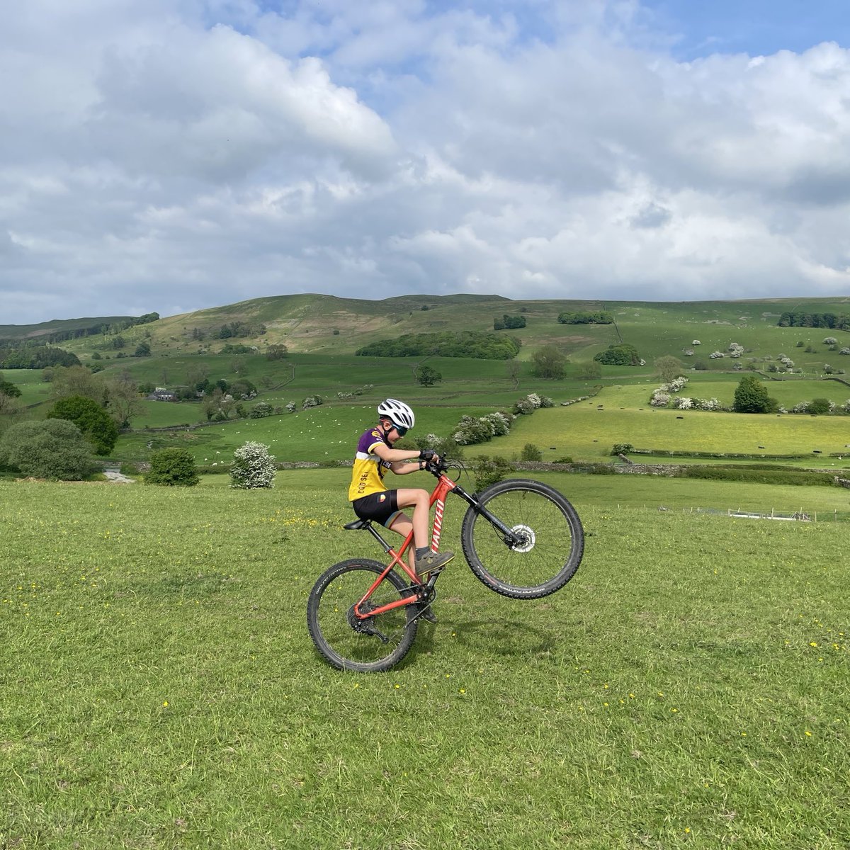 Will Newman tweet media