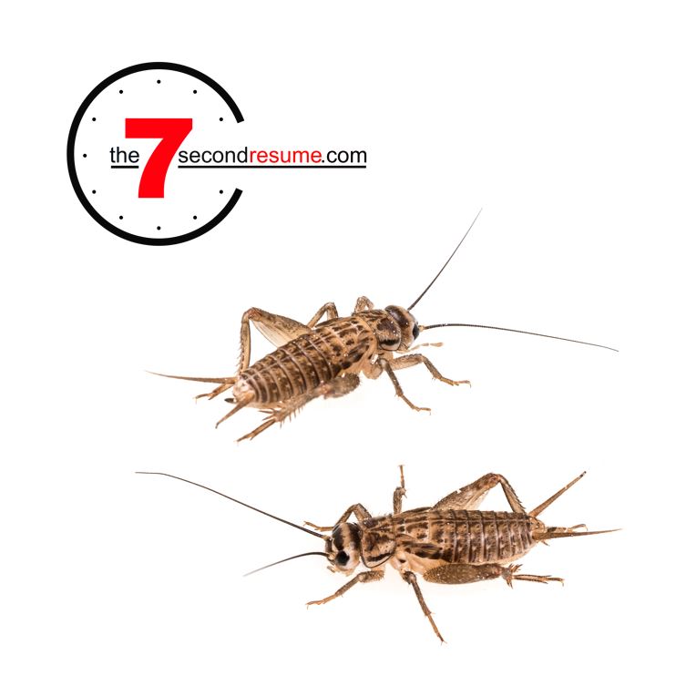 Yeah, sometimes the job search is like crickets... but let me ask you... is your resume all about YOU? Try making git more about the person reading it... see what happens... 

#resumes #careers #resumetips #careerchange #tgif