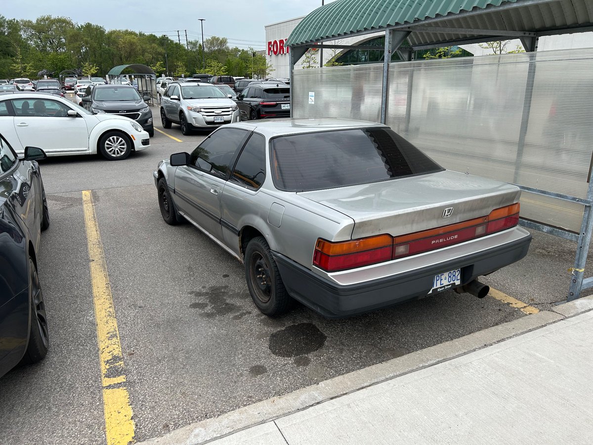 The ‘Luda lives on. <a href="/dougs_cars/">Doug’s Cars 🚙🐊</a>