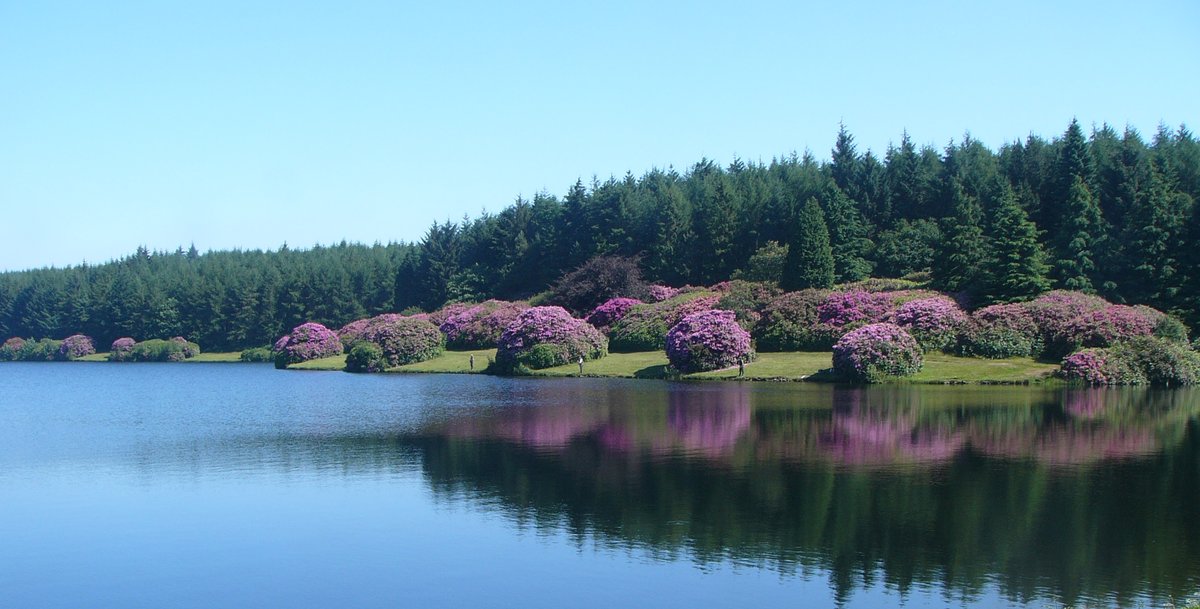South West Lakes Trust (@swlakes) on Twitter photo Invasive Species Week starts on Monday!🌿
Find out what we’re up to and to get involved: swlakestrust.org.uk/invasive-speci…
<a href="/SouthWestWater/">South West Water</a> <a href="/InvasiveSp/">Invasive Species Week</a> #INNSWeek #ItsYourOutdoors Invasive Species Week starts on Monday!🌿
Find out what we’re up to and to get involved: swlakestrust.org.uk/invasive-speci…
<a href="/SouthWestWater/">South West Water</a> <a href="/InvasiveSp/">Invasive Species Week</a> #INNSWeek #ItsYourOutdoors