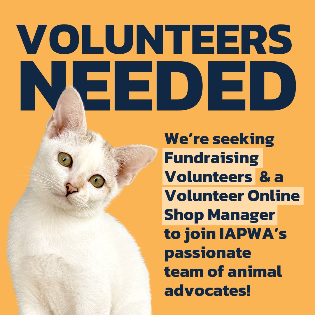 Are you passionate about animals? Have a few hours to spare each week? Want to make a massive positive impact? We need YOU! 🫵 We're seeking a volunteer online shop manager and fundraisers to help us support animals in need across the world. More info: iapwa.org/work-for-us/