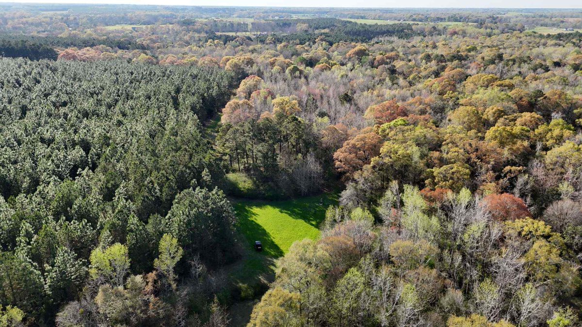 180 +/- Acres - Geneva County, AL - $495,000
Dalton Dalrymple 334-447-5600
Located in southeast Geneva County.
buff.ly/3QimL27 
#forsaleinalabama #tuttlandco #landforsale #genevacounty #trustedlandprofessionals