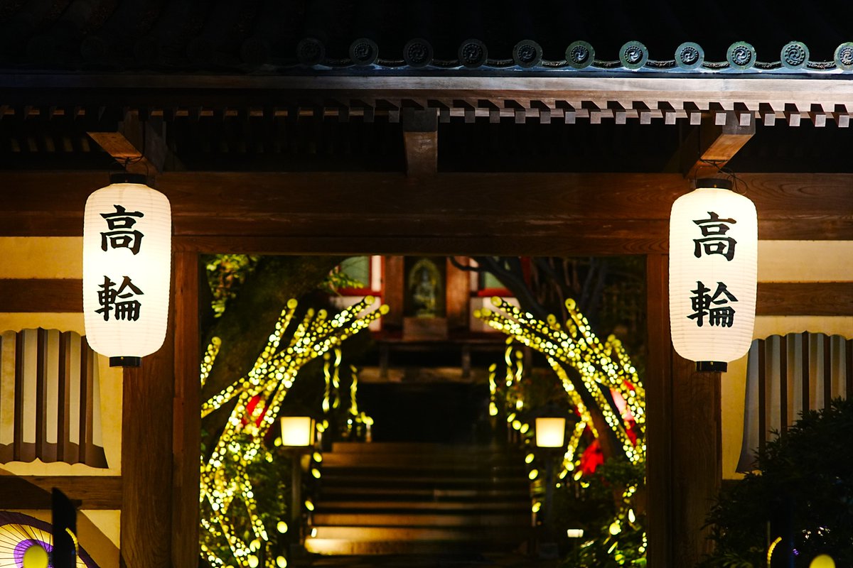 hiralyn's tweet photo. ホテルの日本庭園
#グランドプリンスホテル高輪 
#高輪廿六夜 #ライトアップ #日本庭園 
#Photo #tokyo #sony #α7IV 
#minolta #AF85 #オールドレンズ 
提灯に漢字で「高輪」って書いてあるところが外国人観光客に和のアピールをしているようで印象的でした。 https://t.co/hsgEuANnjt