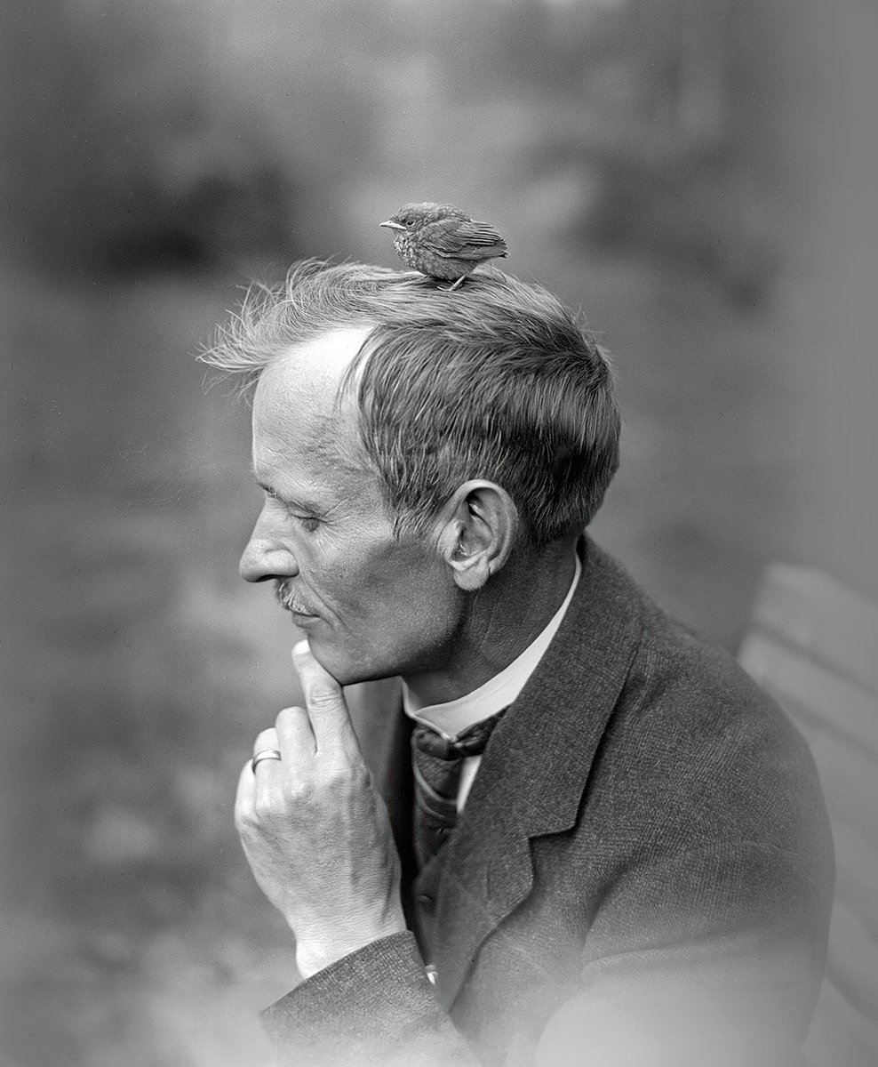 Luston uudistus on valmis - Tervetuloa Metsäsuhteiden maahan! Olemme avoinna joka päivä klo 10-17.

Avajaisviikonlopun ohjelmassa mm.  nukketeatteriesityksiä lapsille.

💚🌲

lusto.fi 

#metsäsuhteidenmaa #lustonuudistus #museovisio #visitlusto #punkaharju