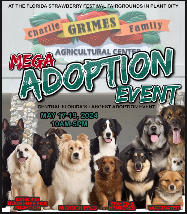 Soooo many dogs looking for good homes. More than 300 of them in one place---the Florida Strawberry Festival Fairgrounds' Charlie Grimes Family Agriculture Center. It's the second annual MEGA ADOPTION EVENT...May 17-19th, 10am - 5pm. The Polk County Sheriff's Office Animal
