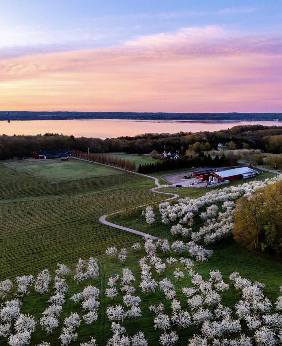 Look at this view of the gorgeous sunrise over Old Mission Peninsula. The cherry blossoms are in bloom at Black Star Farms. 📸 @michiganskymedia