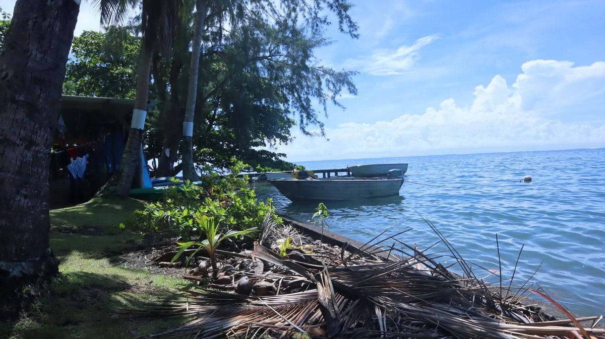 En Polynésie française, les pêcheurs se réapproprient la gestion de leurs lagons. En se basant sur des traditions ancestrales, certains habitants ont mis en place des rahui, terme tahitien, dans certaines parties de ces lagons. 'Grand Reportage' radiofrance.fr/franceculture/…