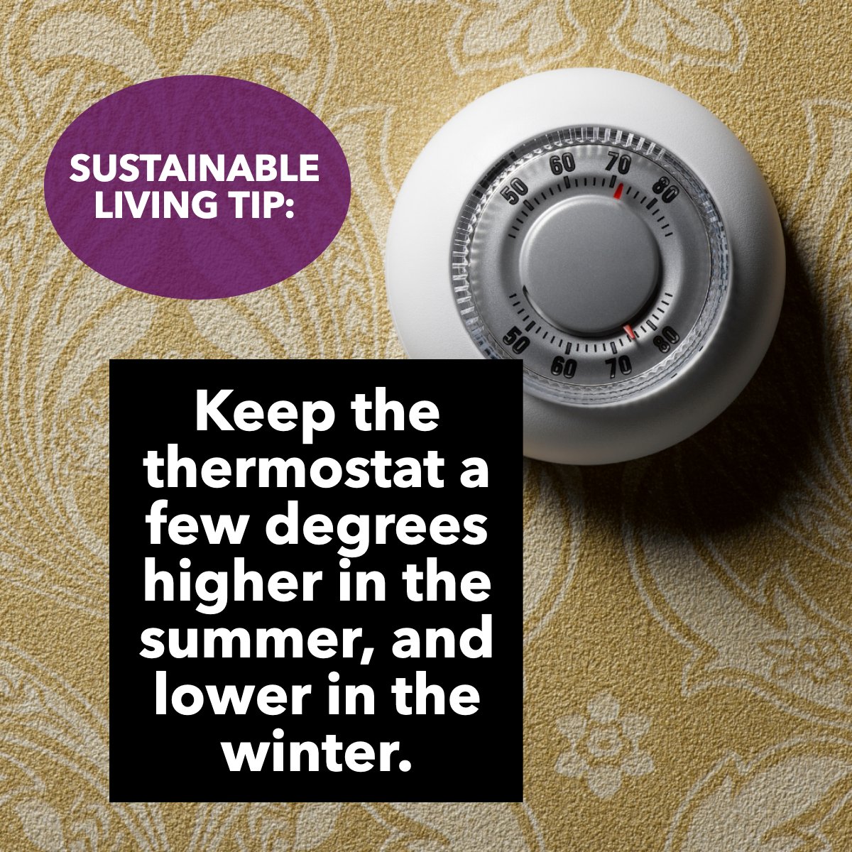 Here is a useful tip! 

Let's try it this and every season! ❄️

#sustainablelifestyle #sustainable #sustainablity #thermostat
 #MyrtleBeach #SCRealEstate #Beachliving #BRGRealEstate #AndreaWhiteRealtor #SouthCarolinaHome #MovetoMyrtleBeach #BeachLifeSC