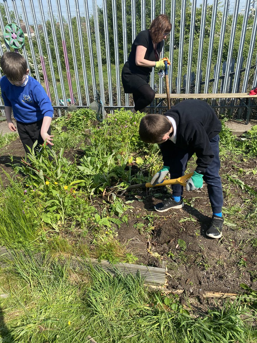 What a brilliant Friday morning spent gardening! These young people were so helpful in getting our wild school garden back under control. We also planted some sunflowers 🌻 ☀️ @IWBSFalkirk #IWBSOutdoors #learningwithoutwalls #thriveoutdoors