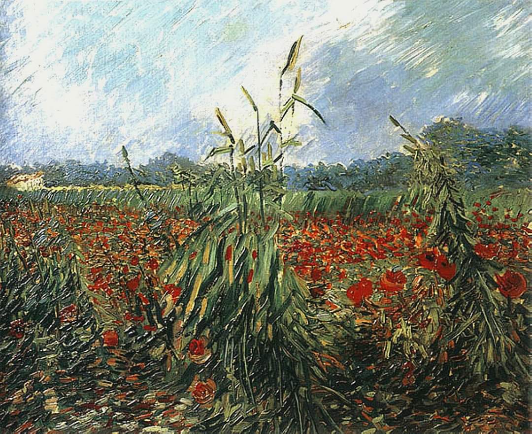 'Prima sogno i miei dipinti, poi dipingo i miei sogni' Vincent Van Gogh.